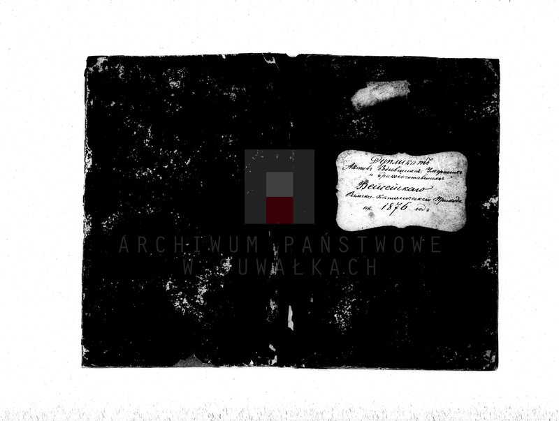 image.from.unit.number "Duplikat aktov rodivšichsja, umeršich i brakosočetavšichsja vejsejskogo rimsko-katoličeskogo prichoda na 1876 god"