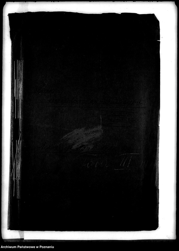 Obraz 4 z jednostki "Rekwizycje koni 1920 rok"