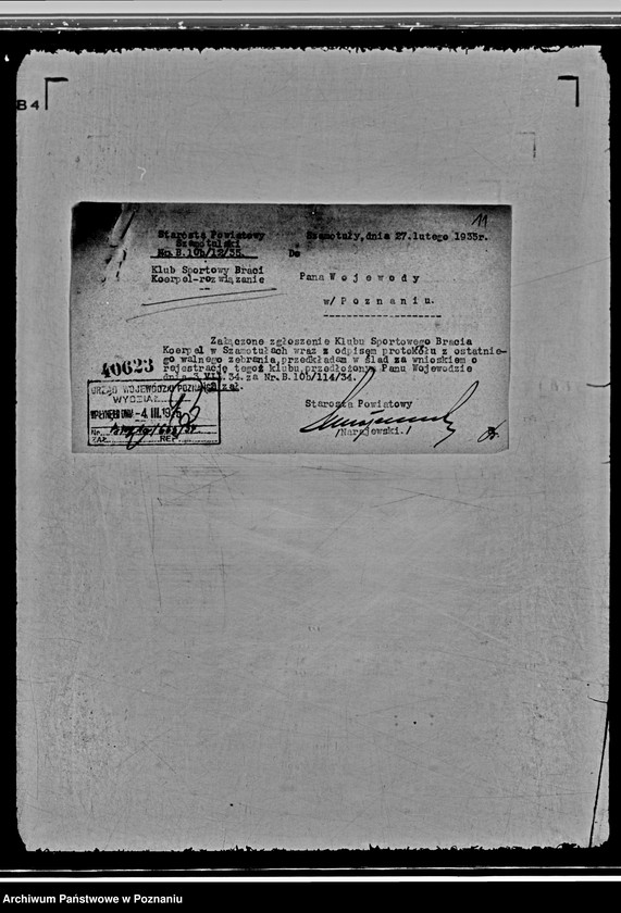 Obraz 15 z jednostki "Klub Sportowy Braci Koerpel w Szamotułach"