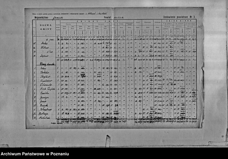 Obraz 10 z jednostki "/Statystyka produkcji rolnej - zestawienie powiatowe - Szubin"