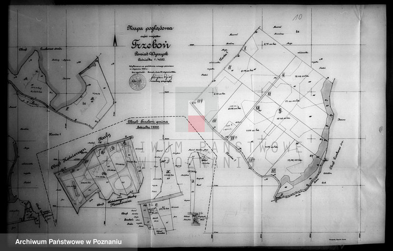 Obraz 14 z jednostki "Tymczasowy rejestr pomiarowy majątku Trzeboń powiatu wyrzyskiego"