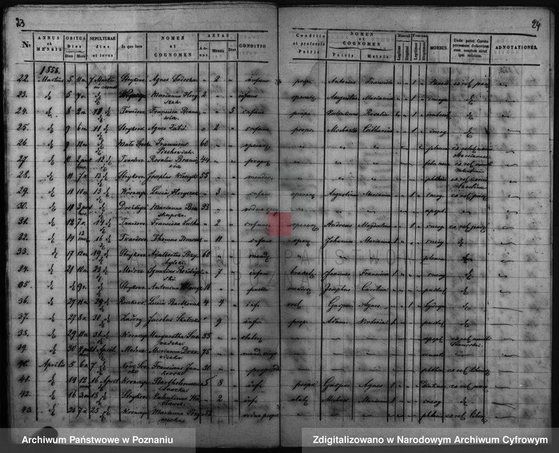 Obraz 16 z jednostki "Duplicatus baptisatorum, copulatorum, mortuorum"