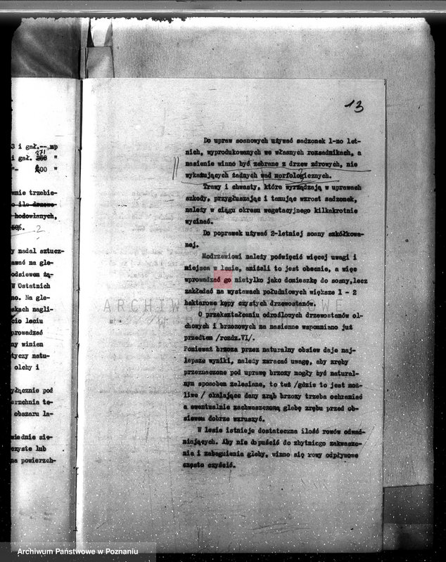 Obraz 17 z jednostki "Plan urządzania gospodarstwa leśnego dla lasu majętności Stary Białcz-Czacz powiat kościański 1935-1945"