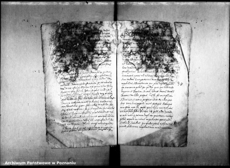 Obraz 12 z jednostki "Decreta officii [inducta]"