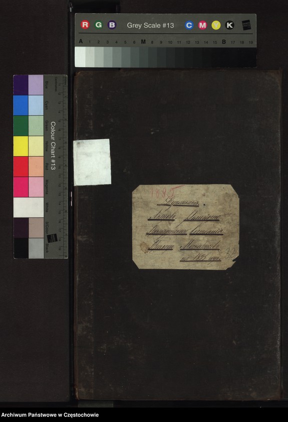 image.from.unit.number "Duplikat aktów urodzeń, małżeństw, zgonów z 1895 roku"