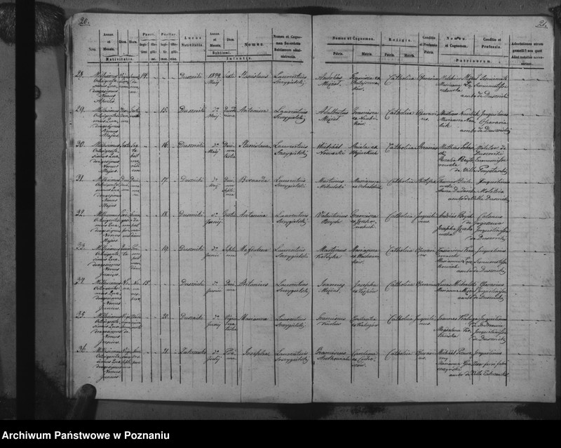 Obraz 14 z jednostki "Duplicat baptisatorum, copulatorum, mortuorum"