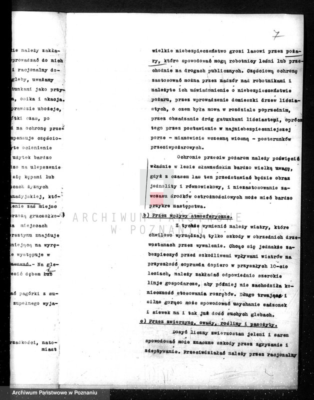 Obraz 11 z jednostki "/Opis lasu majętności Sławno w powiecie czarnkowskim/"