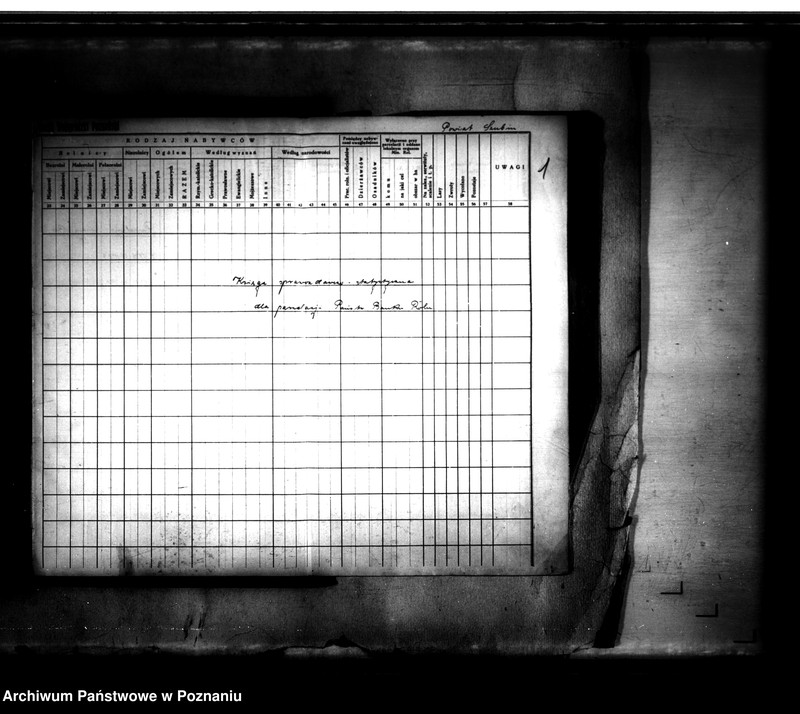 Obraz 5 z jednostki "Księga sprawozdawczo-statystyczna powiatu szubińskiego dla parcelacji Państwowego Banku Rolnego"