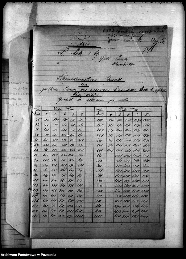 Obraz 5 z jednostki "Pasy z Belgii - gen."