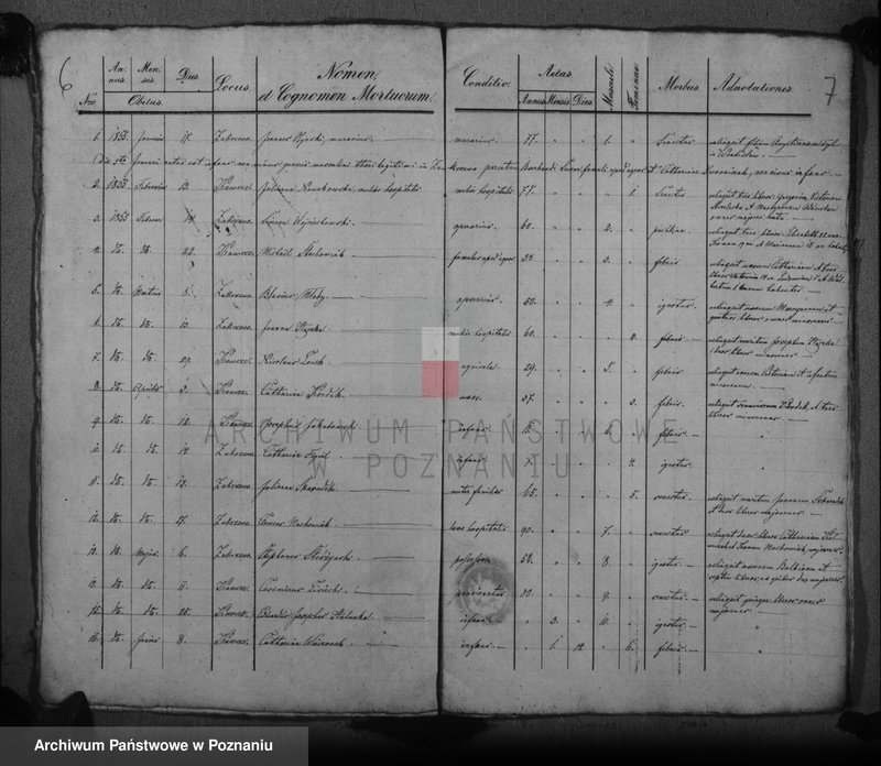 Obraz 7 z jednostki "Duplikat Tauf, Trauung u. Sterberegister"