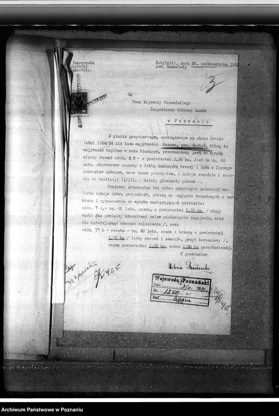 Obraz 7 z jednostki "Nadzór nad gospodarką w lasach majątku Kosowo w powiecie gostyńskim"