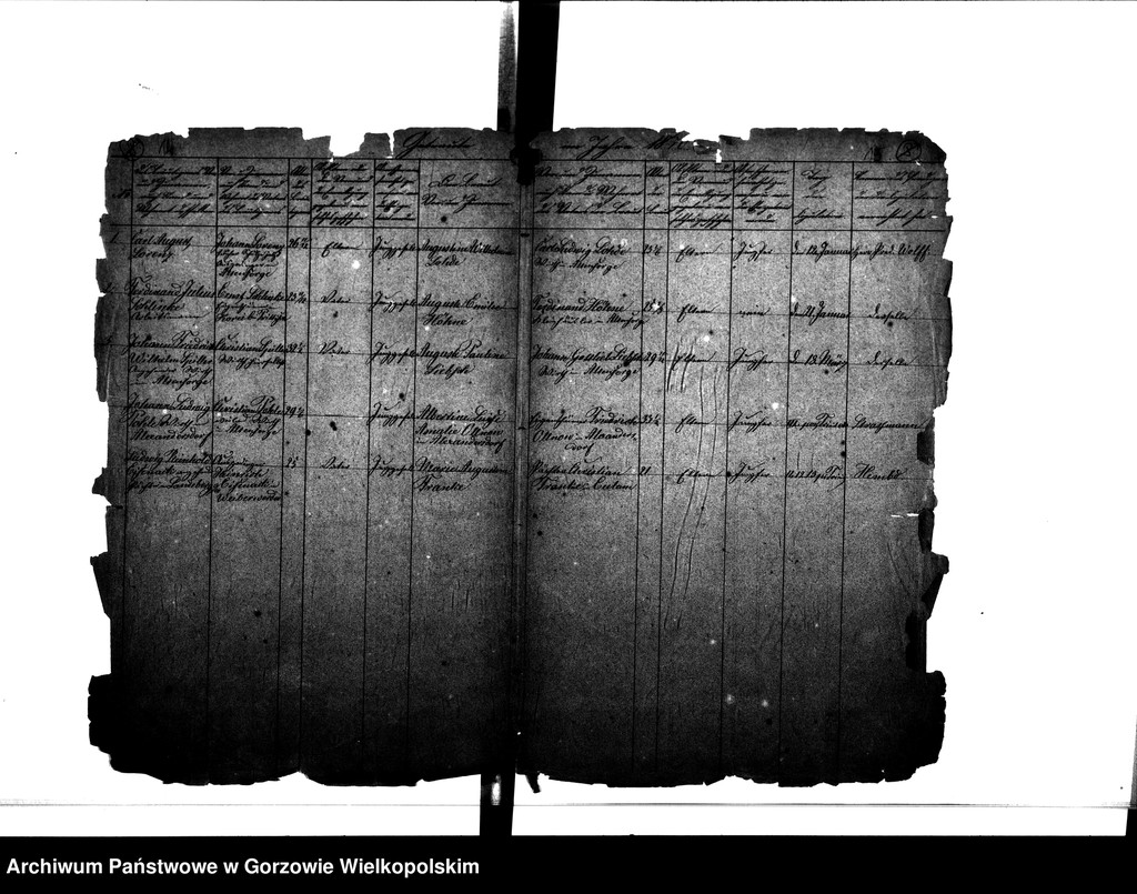 image.from.unit.number "Duplikate der Kirchenbücher von der Parochie Altensorge: Altensorge (Glinik), Blockwinkel (Bolemin), Plonitz (Płonica), Hagen (Dziersławice), Bürgerbruch (Białobłocie), Kattenhorst (Orzelec), Liebenthal (Kołomęt), Schönewald (Krasowiec)"