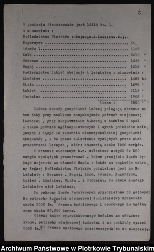 Obraz 4 z kolekcji "Powiat piotrkowski w pierwszych miesiącach niepodległości - 1919 r."