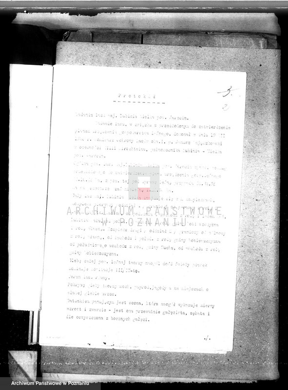 Obraz 6 z jednostki "Nadzór nad gospodarką w lasach majątku Lubinia-Wielka w powiecie jarocińskim"