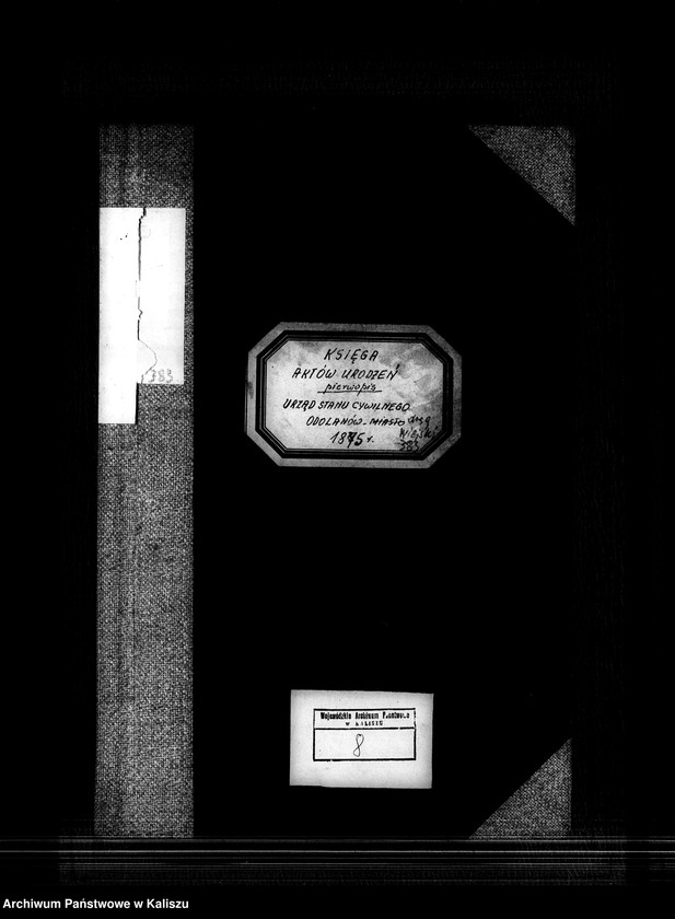 image.from.unit.number "[Księga urodzeń]"