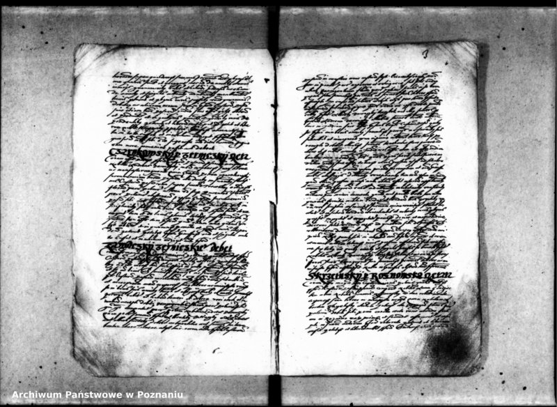 Obraz 8 z jednostki "Inscriptiones [inducta]"