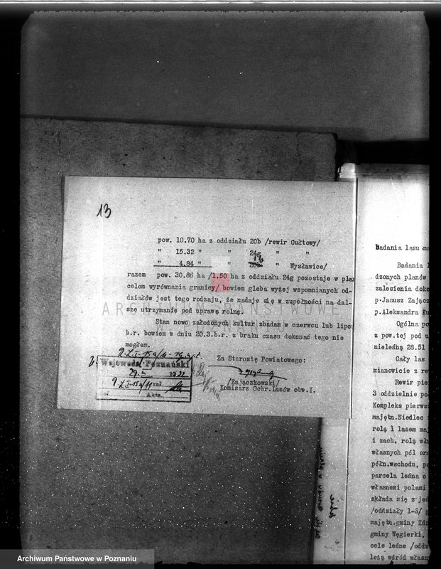 Obraz 17 z jednostki "Nadzór nad gospodarką w lasach majętności Gułtowy powiat średzki"