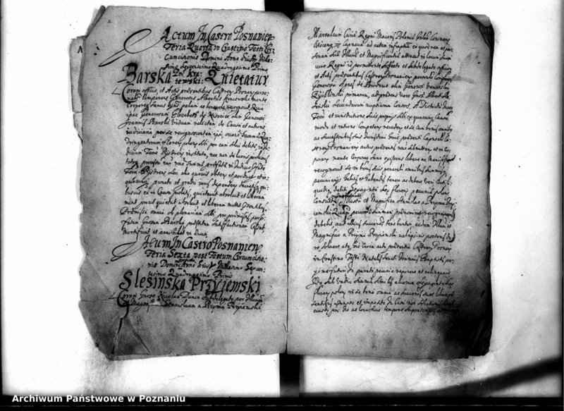 Obraz 6 z jednostki "Inscriptiones [inducta]"