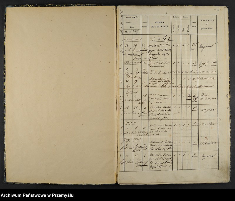 image.from.unit "Liber Mortuorum pro pago Jankowice ab anno 1861 usque 1907"