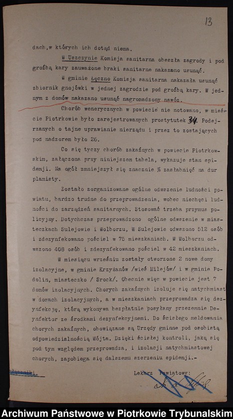 Obraz 13 z kolekcji "Powiat piotrkowski w pierwszych miesiącach niepodległości - 1919 r."
