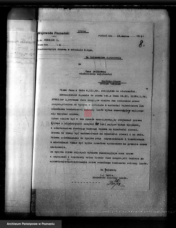 Obraz 12 z jednostki "Majętność Borówko Stare /nadzór nad gospodarką leśną/"