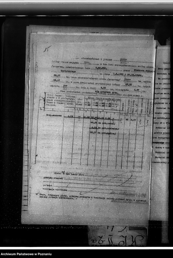 Obraz 19 z jednostki "Nadzór nad gospodarką w lasach majętności Rogowo w powiecie gostyńskim"