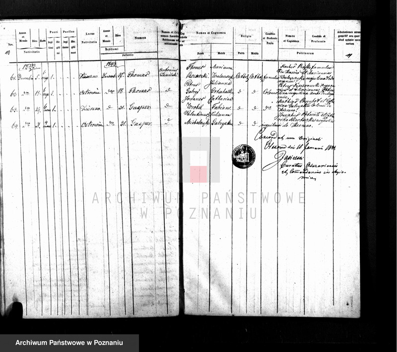 Obraz 8 z jednostki "Duplikat baptisatorum, copulatorum, mortuorum"