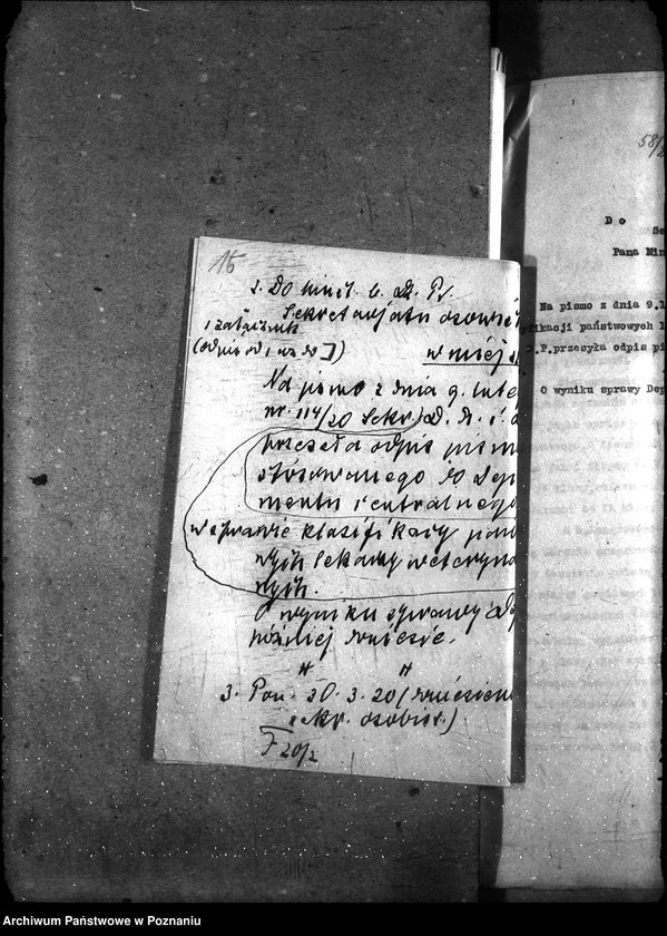 Obraz 20 z jednostki "Powiatowi lekarze weterynaryjni"