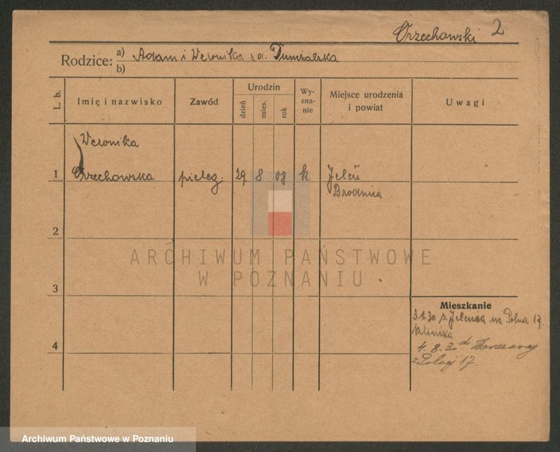 Obraz 2 z jednostki "Ormay - Osinek"