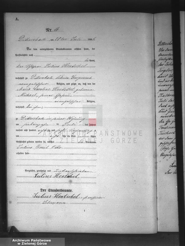 Obraz 19 z jednostki "[Księga aktów urodzeń]"