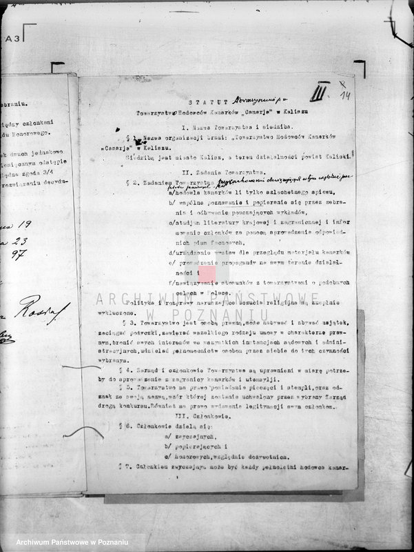 Obraz 19 z jednostki "/Towarzystwo Hodowców Kanarków,,Canaria" w Kaliszu/"