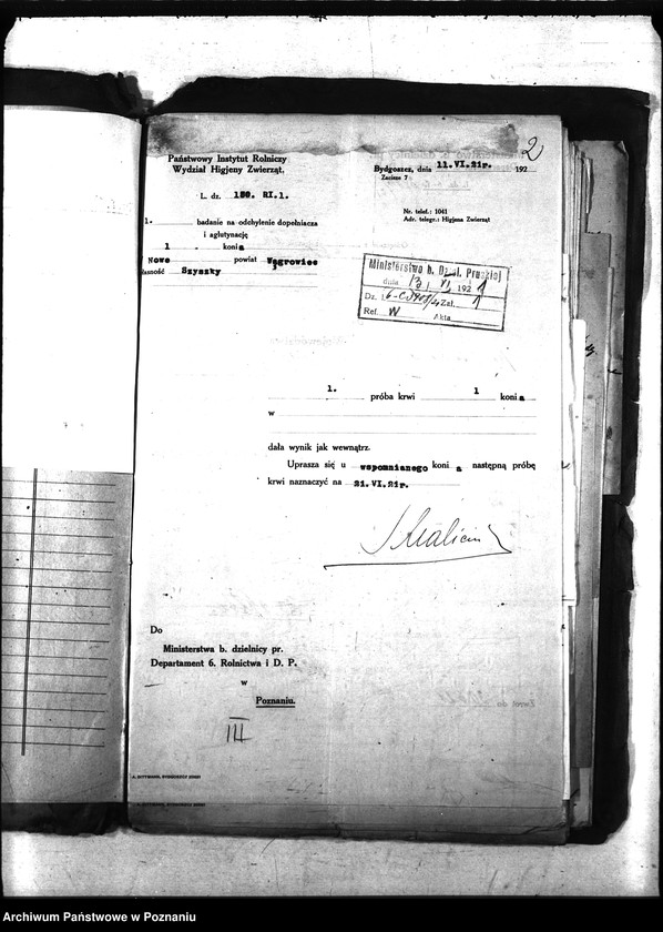 Obraz 5 z jednostki "Nosacizna - Wągrowiec"