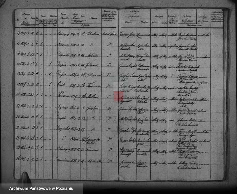 Obraz 5 z jednostki "Duplikat baptisatorum, copulatorum, mortuorum"