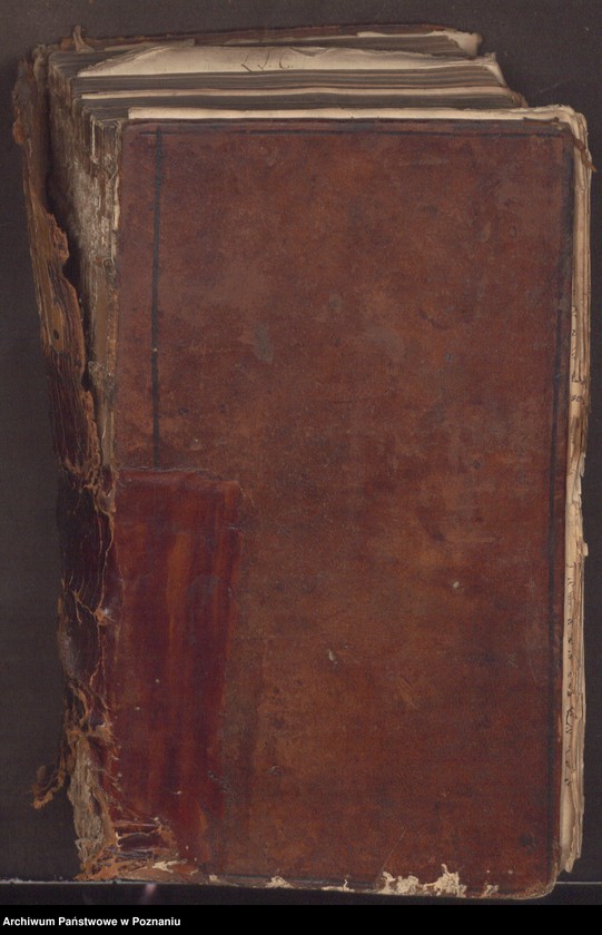 Obraz 3 z jednostki "Liber actorum officii consularis civitatis Posnaniae."