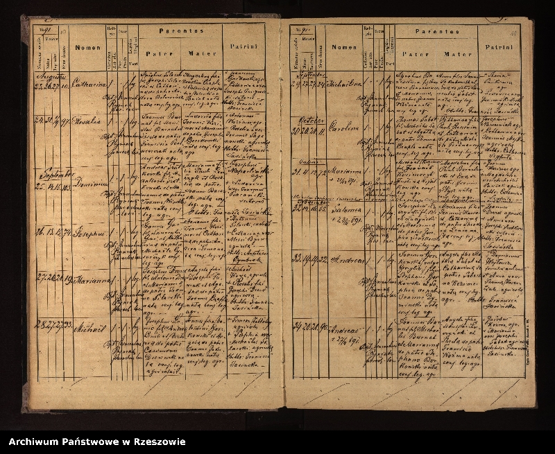 image.from.unit.number "Księga urodzeń, małżeństw i zgonów dla miejscowości Nowotaniec, Nadolany, Nagórzany, Pielnia, Wola Sękowa, Wola Jaworowa, Puławy"