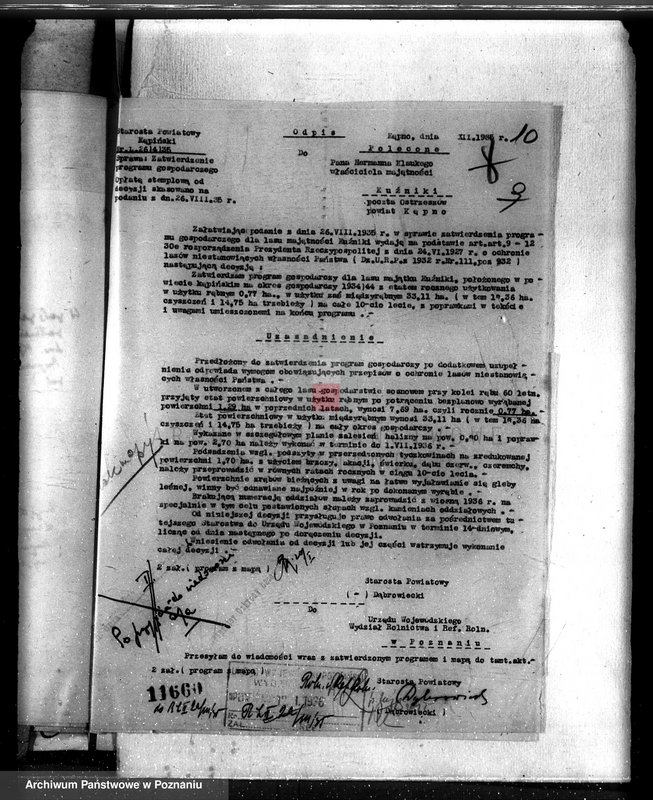 Obraz 14 z jednostki "Lasy majątku Kuźniki powiatu kępińskiego"