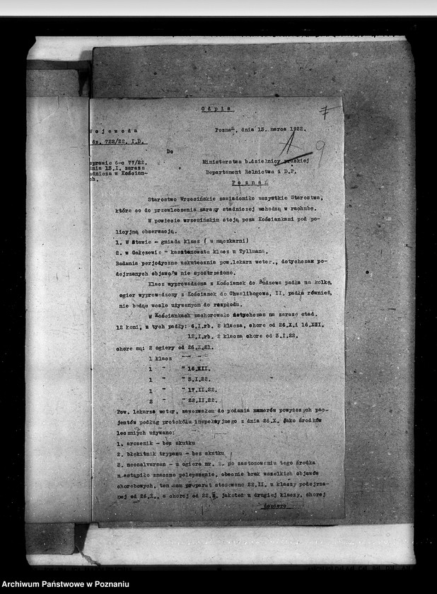 Obraz 14 z jednostki "Zaraza stadnicza"