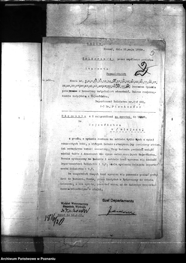 Obraz 9 z jednostki "Nosacizna - Poznań-Wschód"