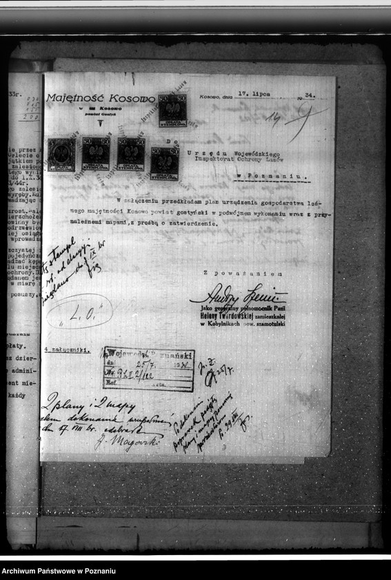 Obraz 18 z jednostki "Nadzór nad gospodarką w lasach majątku Kosowo w powiecie gostyńskim"