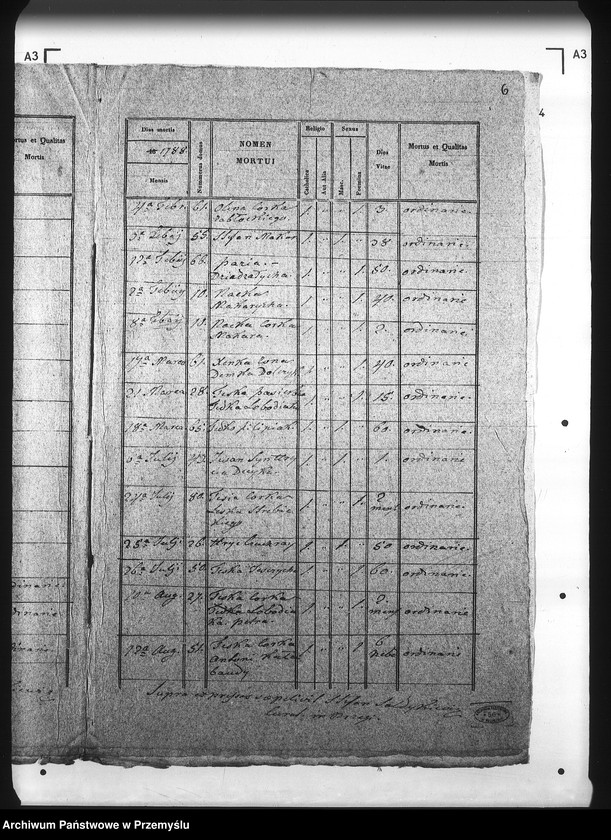 Obraz 10 z jednostki "[Kopie ksiąg metrykalnych parafii Brzegi (dekanat Sambor)]"