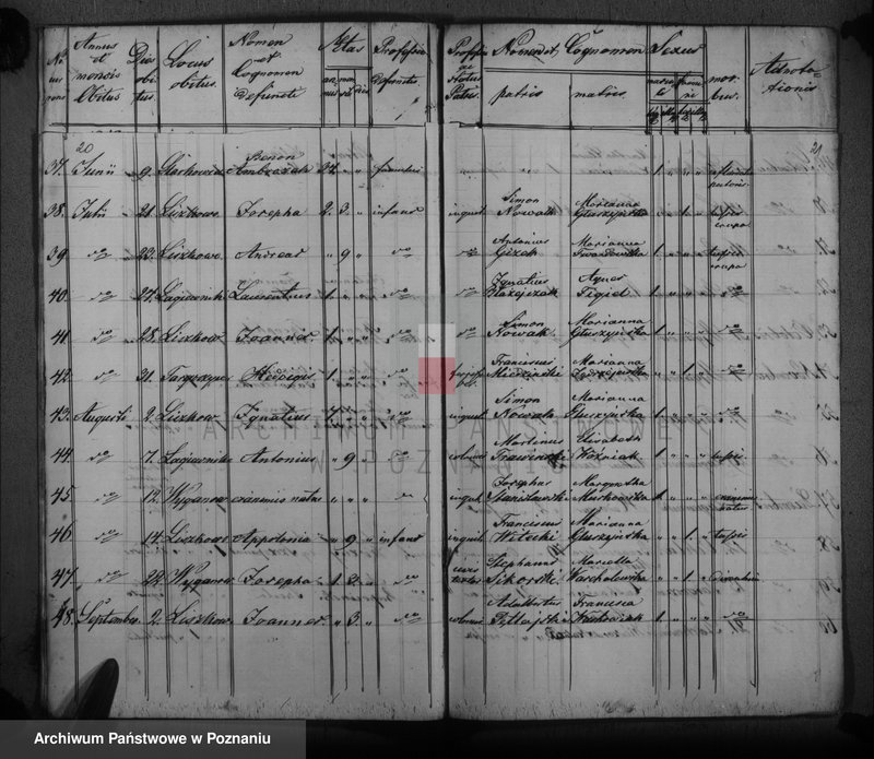 image.from.unit.number "Księga urodzeń, małżeństw i zgonów"