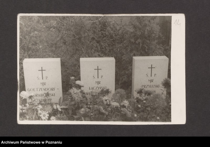 Obraz 17 z jednostki "Materiały dotyczące śmierci Tadeusza Goetzendorf-Grabowskiego w Oflagu VIB w Dössel"