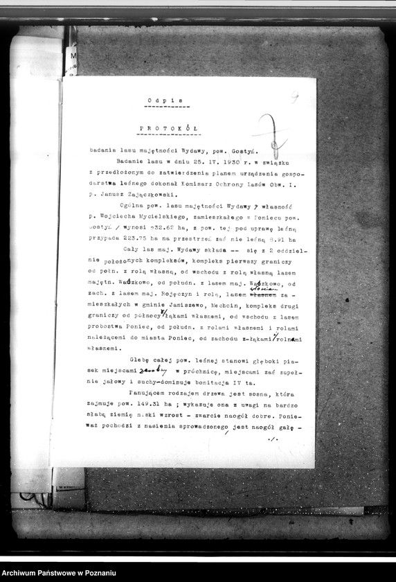 Obraz 13 z jednostki "Lasy majętności Wydawy w powiecie gostyńskim"