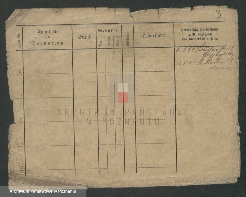 Obraz 5 z jednostki "Nowicki (samotni mężczyźni)"