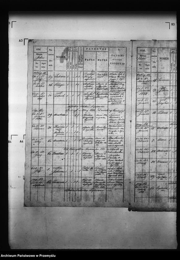 Obraz 6 z jednostki "[Kopie ksiąg metrykalnych parafii Miżyniec z filiami Gdeszyce, Zrotowice (dekanat Niżankowice)]"