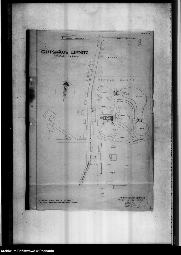 Obraz 9 z jednostki "Landesgut Lipnitz [Rysunki]."