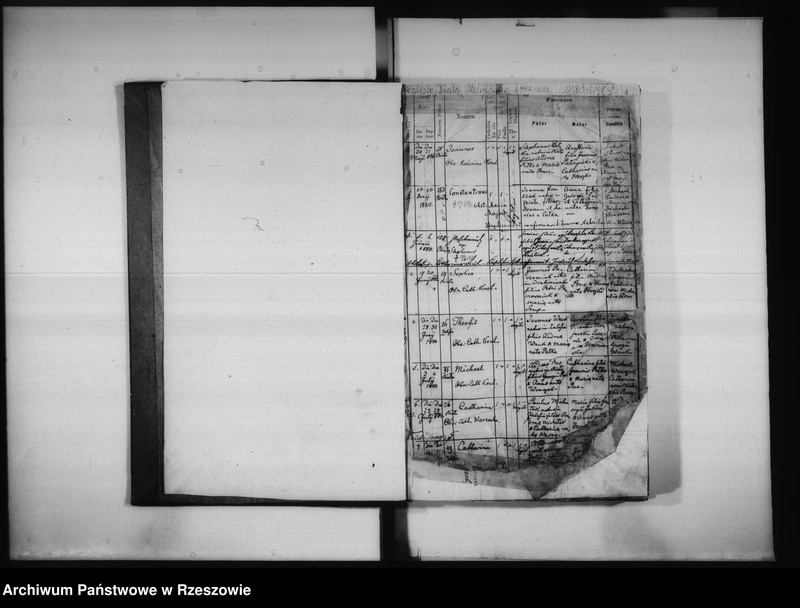 image.from.unit.number "Księga urodzeń Biała, Matysówka, Zalesie Drabinianka, Rzeszów, Tyczyn"