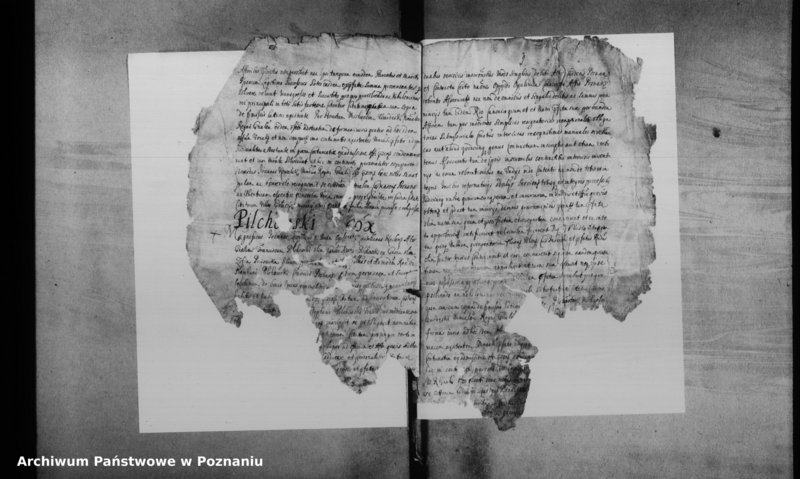 Obraz 6 z jednostki "Decreta officii [inducta]"