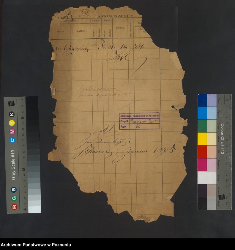 Obraz 2 z jednostki "Copia libri mortuorum"