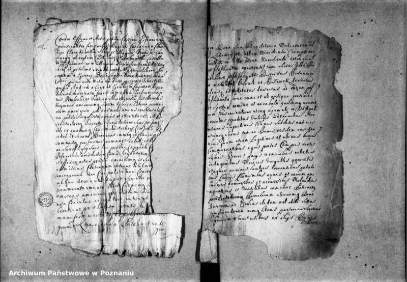 Obraz 6 z jednostki "Resignationes [inducta]"